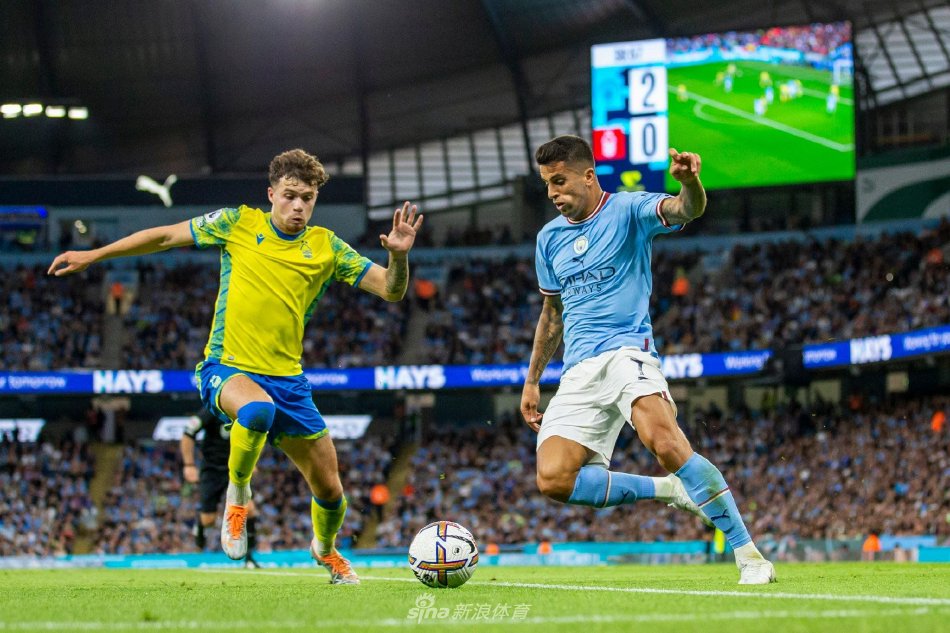 在今夏的欧 在今夏的欧